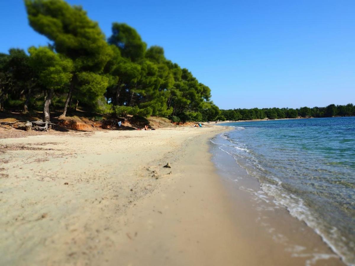 La Londe La Mer : Appartement Proche Plages & Vue Superbe Sur Les Iles D'Or Exteriör bild