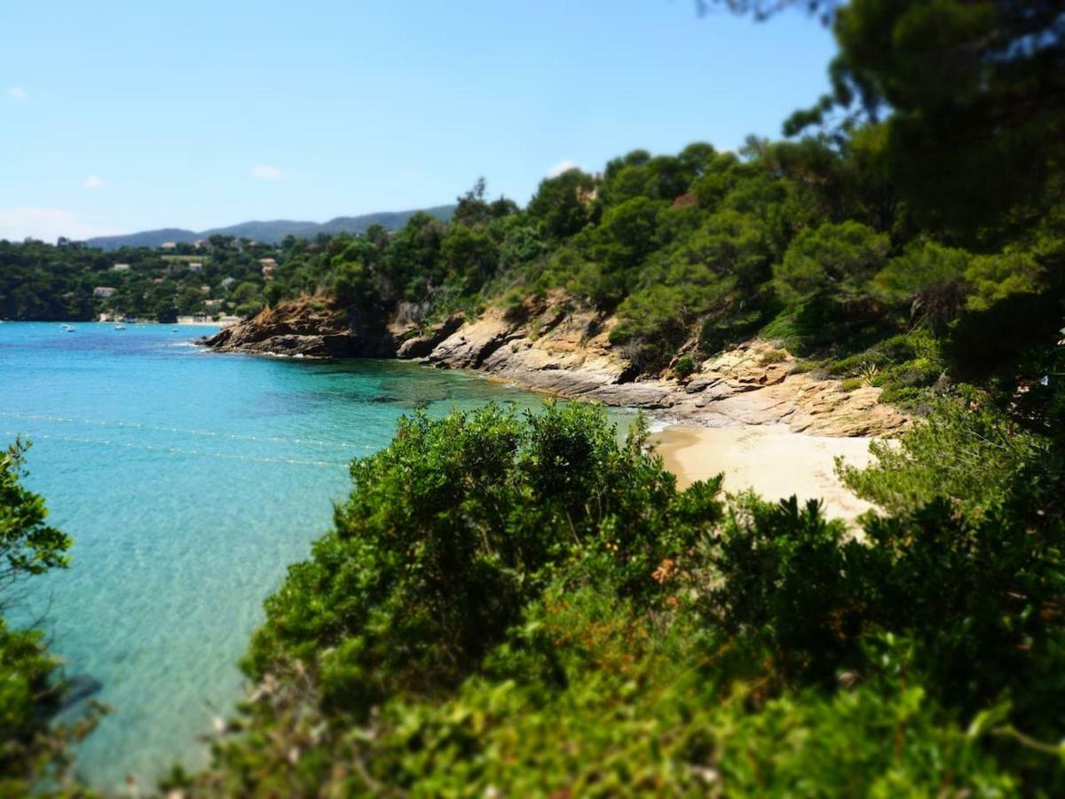 La Londe La Mer : Appartement Proche Plages & Vue Superbe Sur Les Iles D'Or Exteriör bild